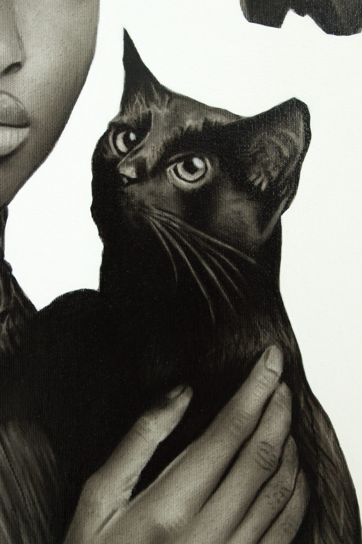Gato Preto by Ritchelly Oliveira, view 11