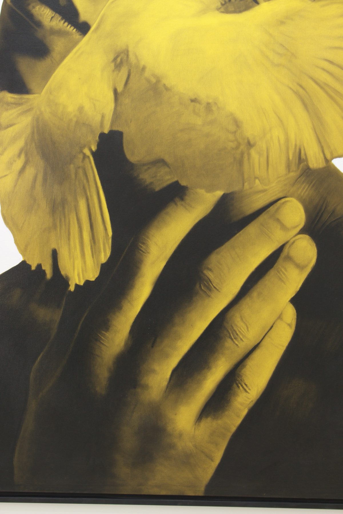 Heavy like the force between us by Ritchelly Oliveira, view 11