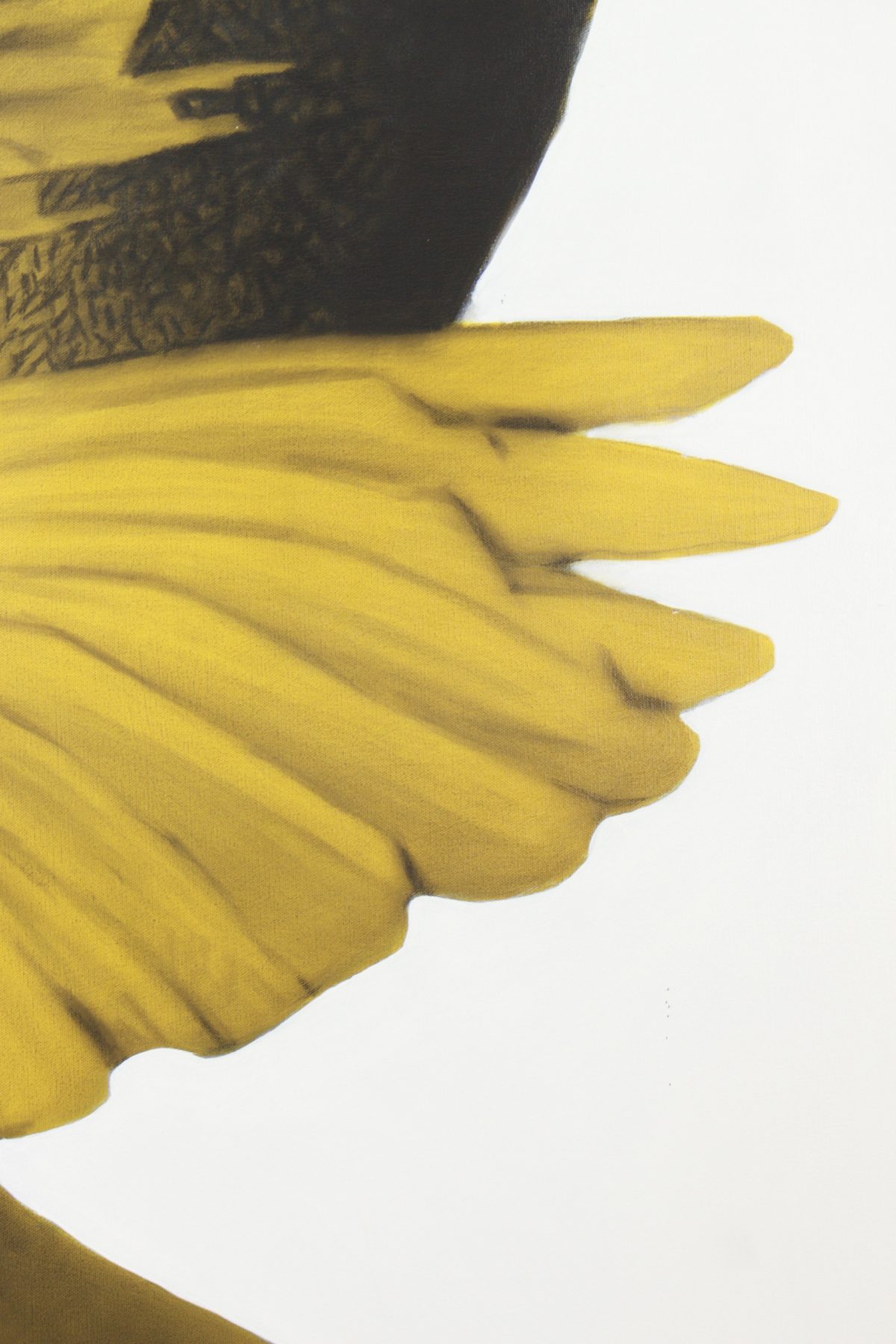 Heavy like the force between us by Ritchelly Oliveira, view 16