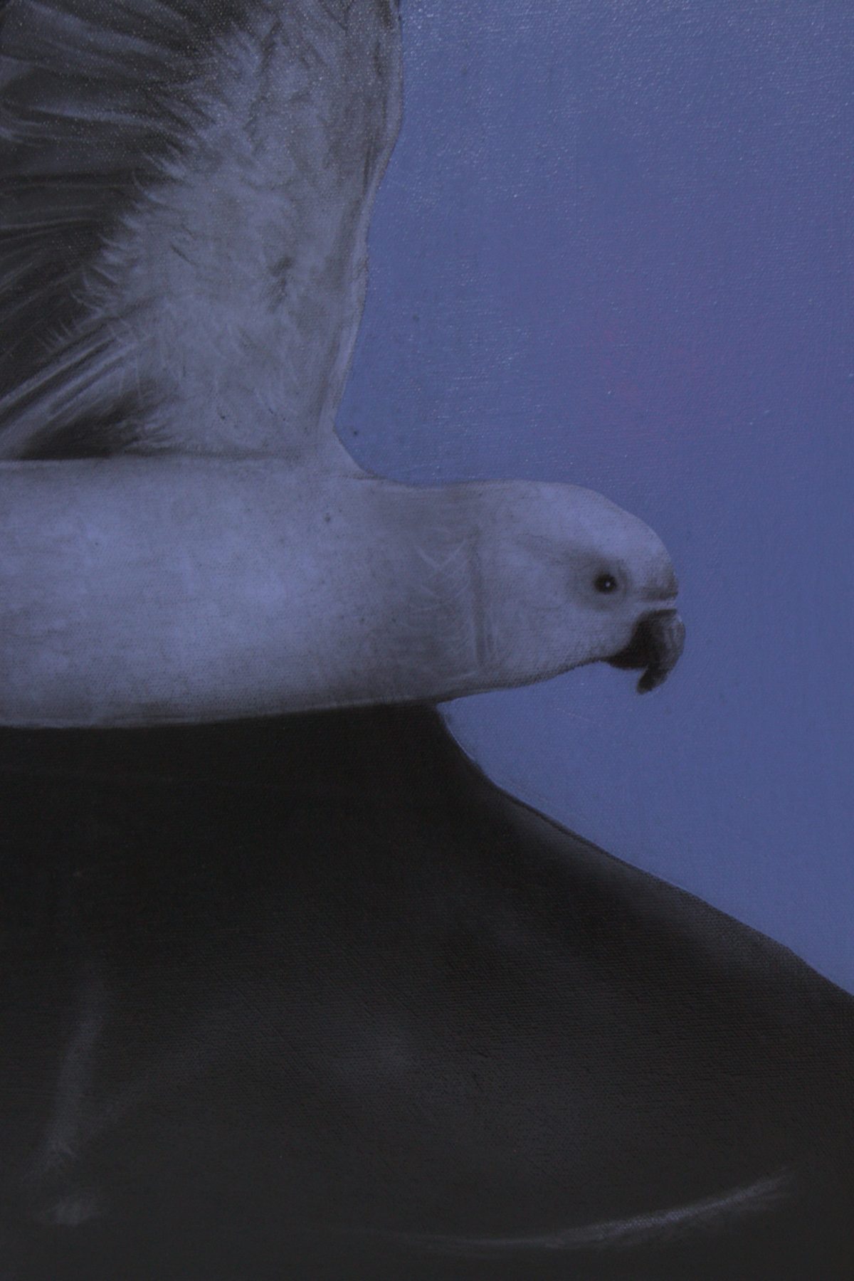 Pássaro Azul by Ritchelly Oliveira, view 10