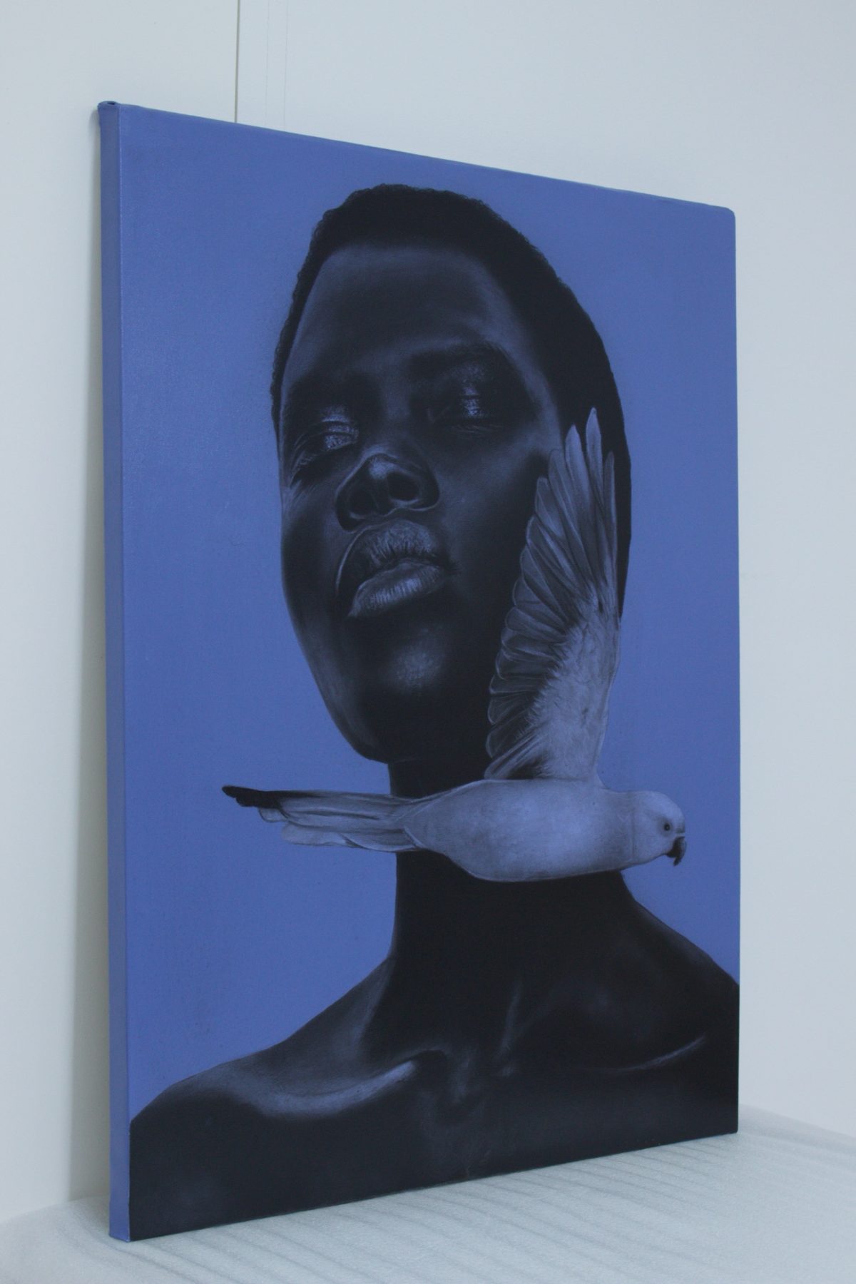 Pássaro Azul by Ritchelly Oliveira, view 5