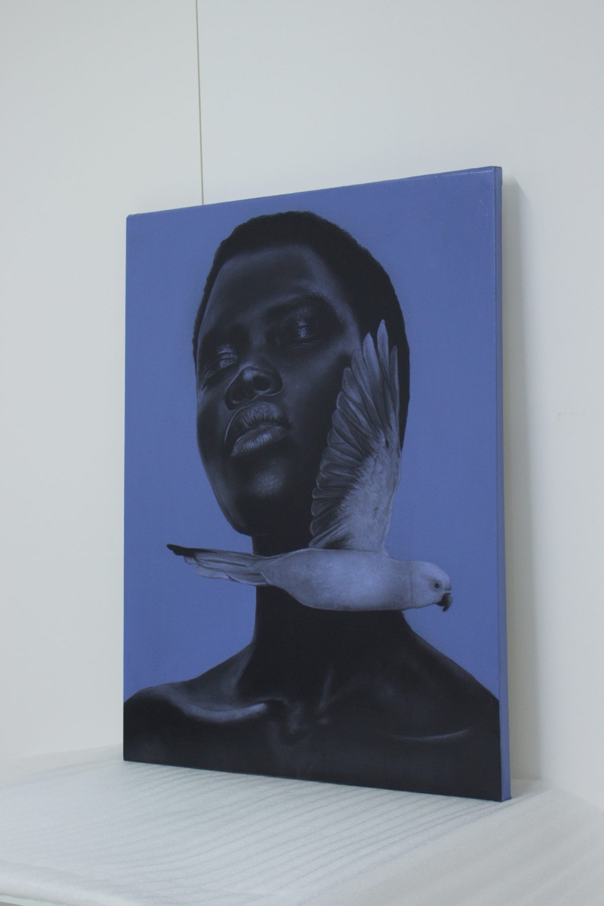 Pássaro Azul by Ritchelly Oliveira, view 4
