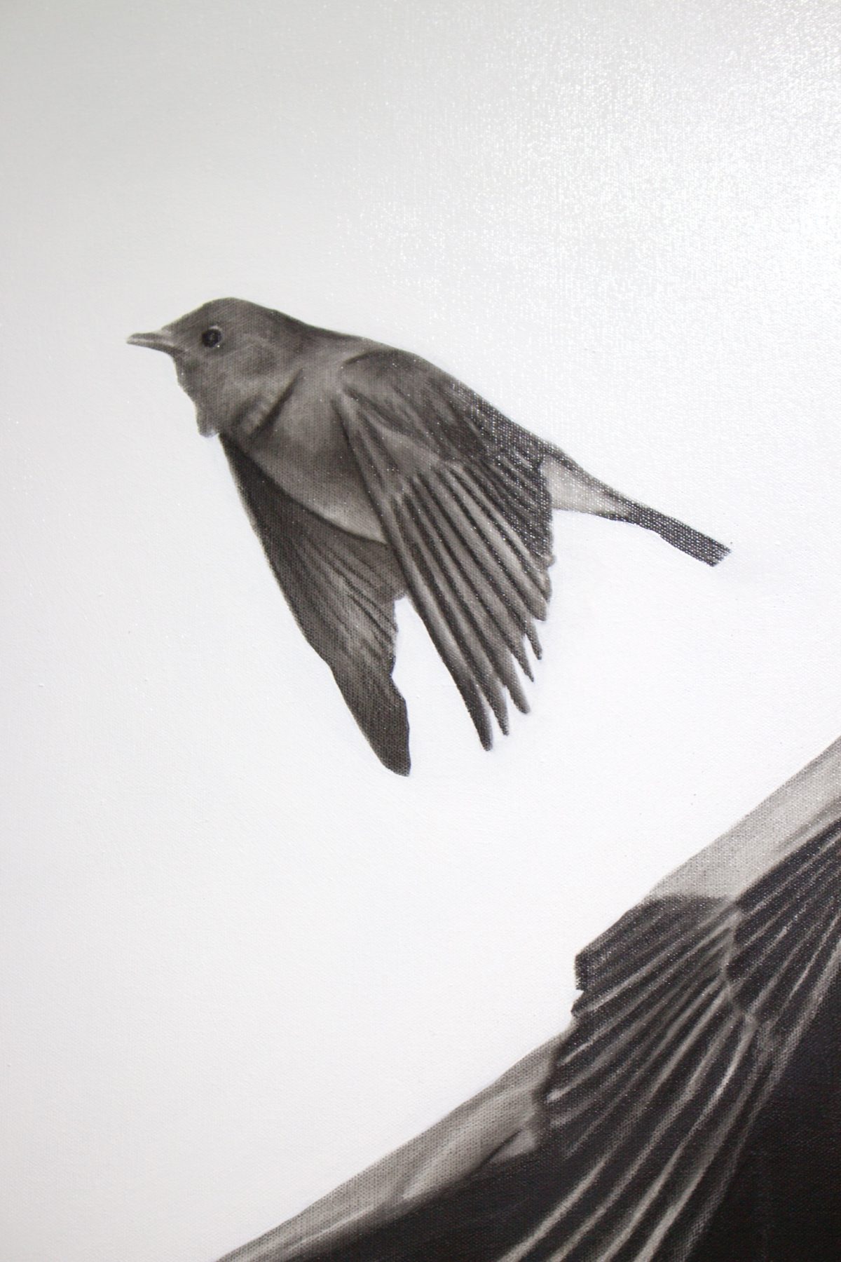 Wounded birds by Ritchelly Oliveira, view 13