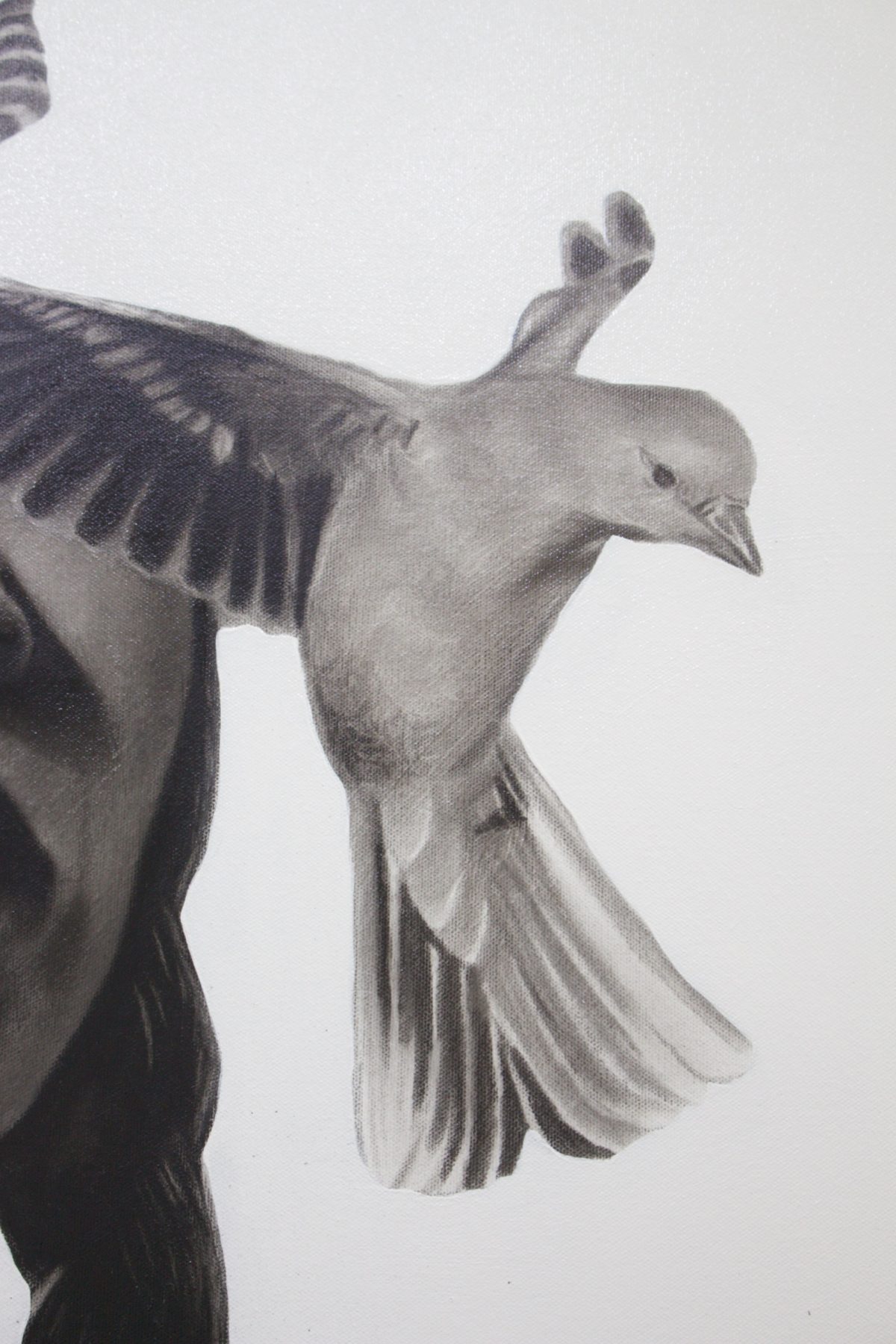 Wounded birds by Ritchelly Oliveira, view 14